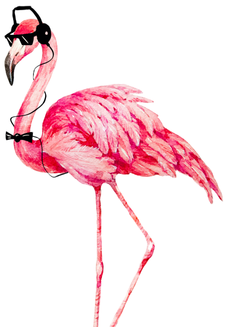 Flamingo in Footer